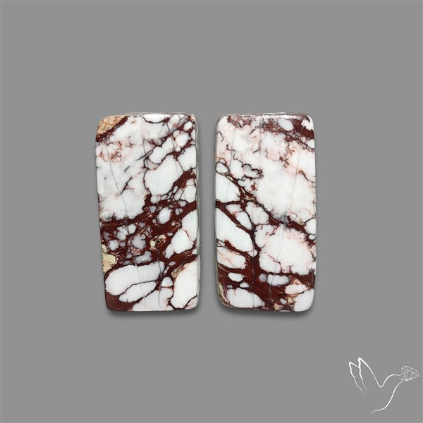 Wild Horse Jasper Cabochons Pair