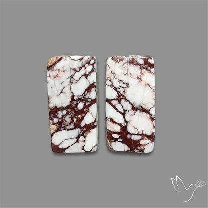 Wild Horse Jasper Cabochons Pair