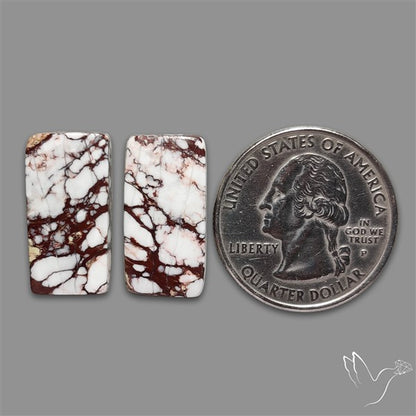 Wild Horse Jasper Cabochons Pair