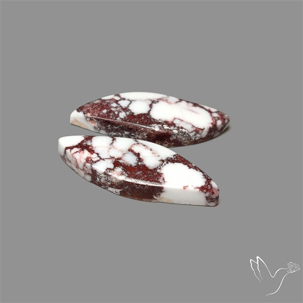 Wild Horse Jasper Cabochons Pair