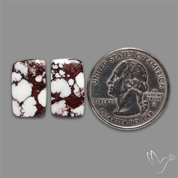 Wild Horse Jasper Cabochons Pair