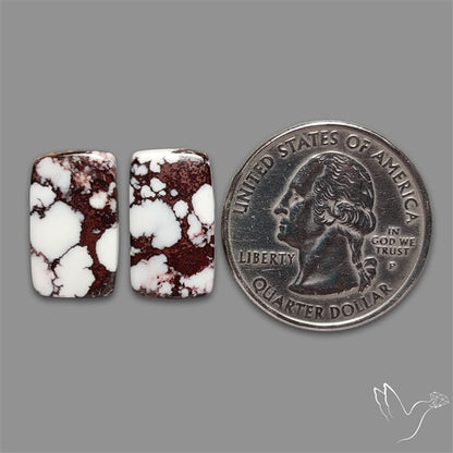 Wild Horse Jasper Cabochons Pair
