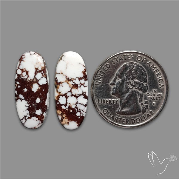 Wild Horse Jasper Cabochons Pair