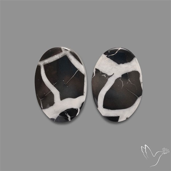 Black Septarian Cabochons Pair
