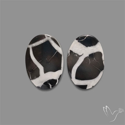 Black Septarian Cabochons Pair