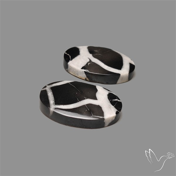 Black Septarian Cabochons Pair