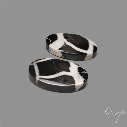 Black Septarian Cabochons Pair