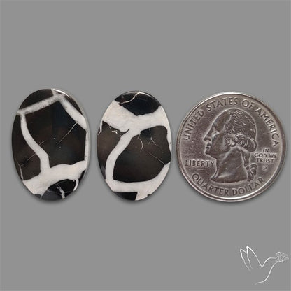 Black Septarian Cabochons Pair