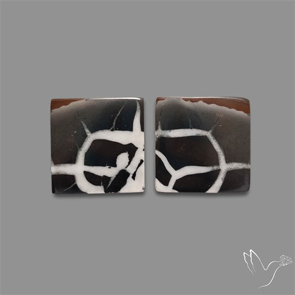 Black Septarian Cabochons Pair
