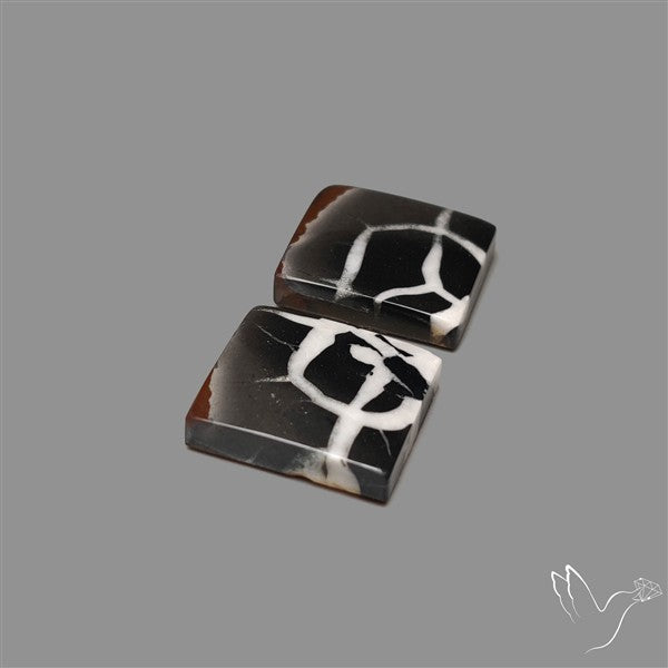 Black Septarian Cabochons Pair