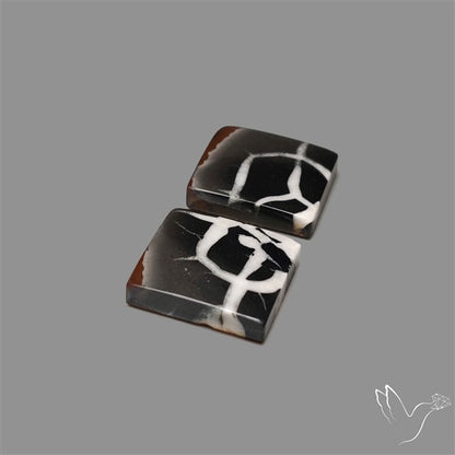 Black Septarian Cabochons Pair