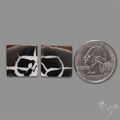 Black Septarian Cabochons Pair