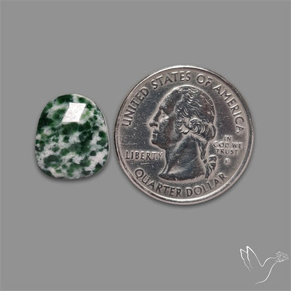 Rose Cut Chrome Diopside In Quartz