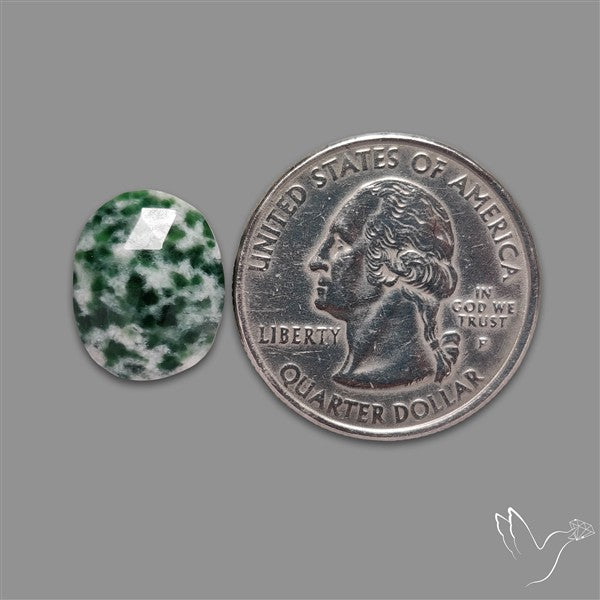 Rose Cut Chrome Diopside In Quartz