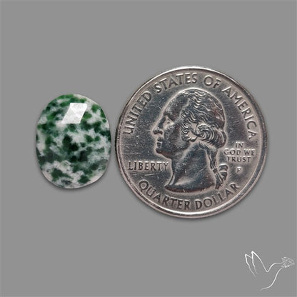 Rose Cut Chrome Diopside In Quartz