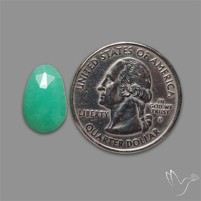 Rose Cut Gemmy Chrysoprase