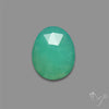 Rose Cut Gemmy Chrysoprase