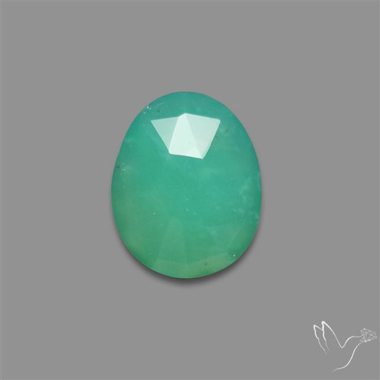 Rose Cut Gemmy Chrysoprase