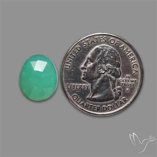 Rose Cut Gemmy Chrysoprase