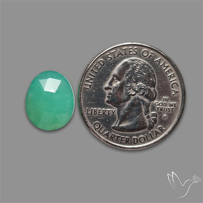 Rose Cut Gemmy Chrysoprase