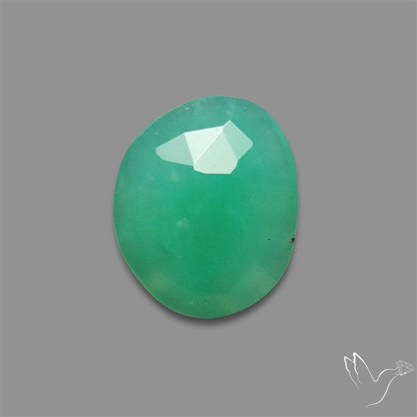 Rose Cut Gemmy Chrysoprase