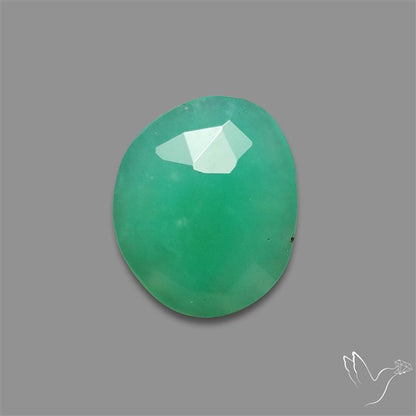 Rose Cut Gemmy Chrysoprase