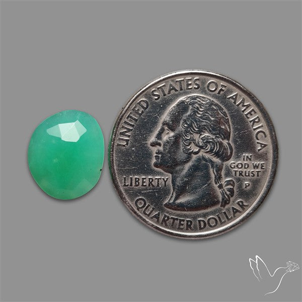 Rose Cut Gemmy Chrysoprase