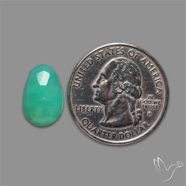 Rose Cut Gemmy Chrysoprase