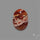 Howardite Opal Cabochon