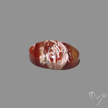 Howardite Opal Cabochon