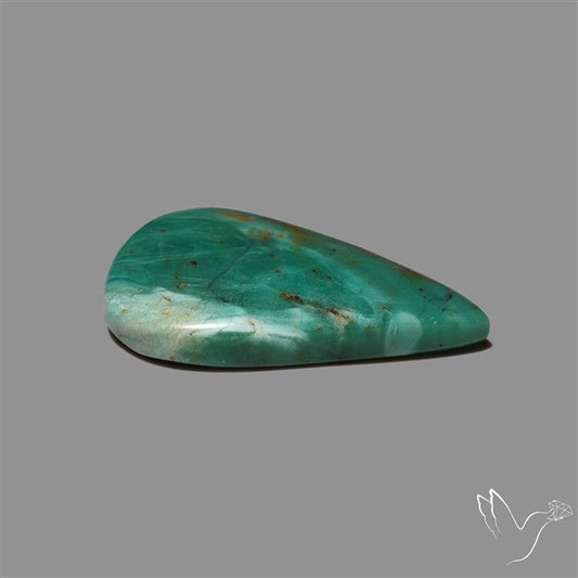 Larsonite Gary Green Jasper Cabochon