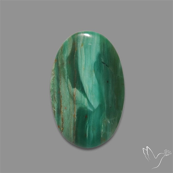 Larsonite Gary Green Jasper Cabochon