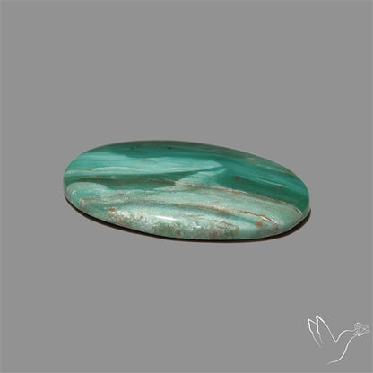 Larsonite Gary Green Jasper Cabochon