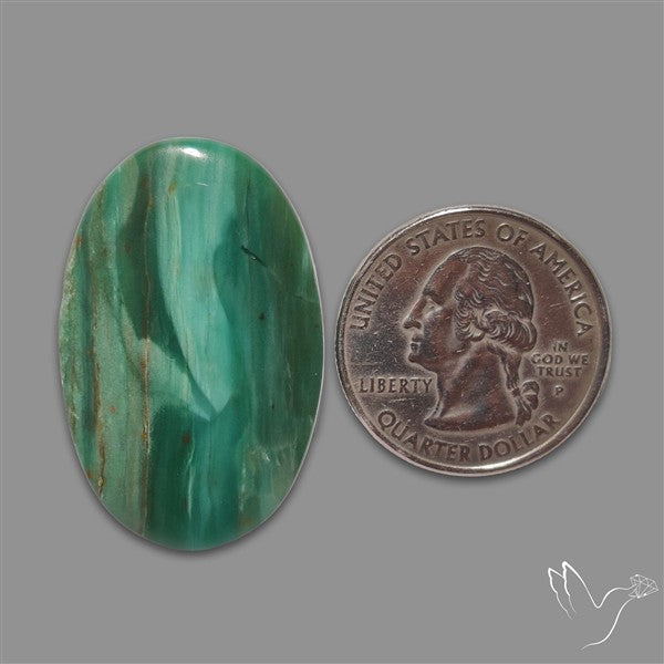 Larsonite Gary Green Jasper Cabochon