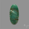 Larsonite Gary Green Jasper Cabochon