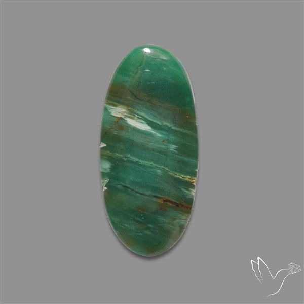 Larsonite Gary Green Jasper Cabochon