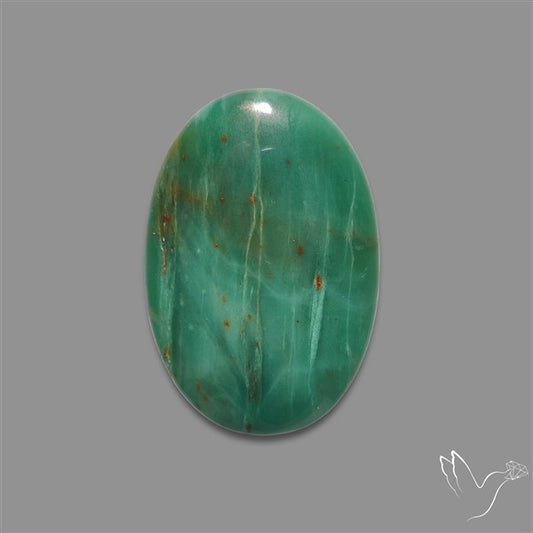 Larsonite Gary Green Jasper Cabochon