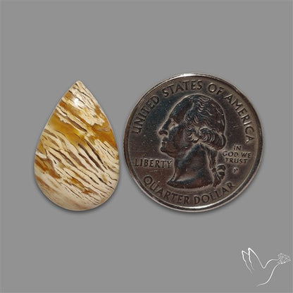 Howardite Opal Cabochon