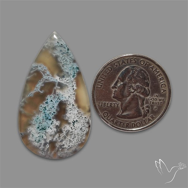 White Horse Canyon Moss Agate