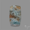 White Horse Canyon Moss Agate