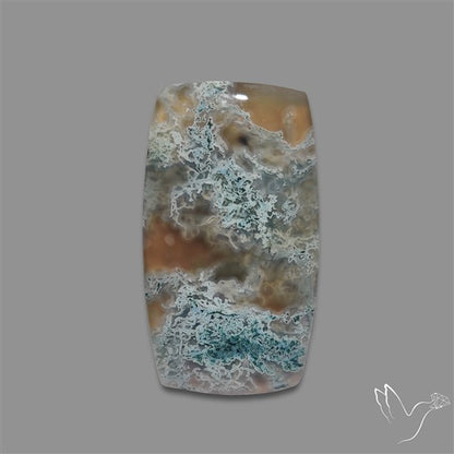 White Horse Canyon Moss Agate