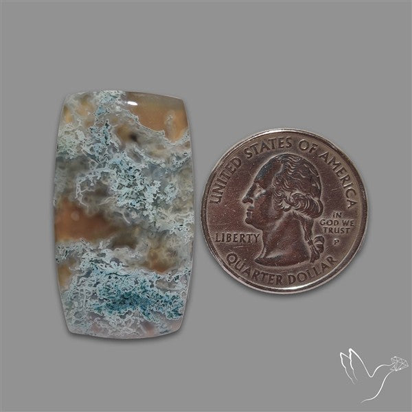 White Horse Canyon Moss Agate
