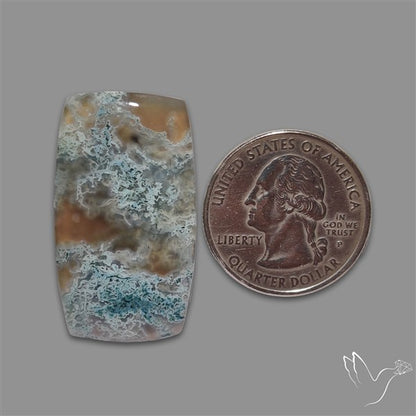White Horse Canyon Moss Agate