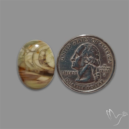 Imperial Jasper Cabochon