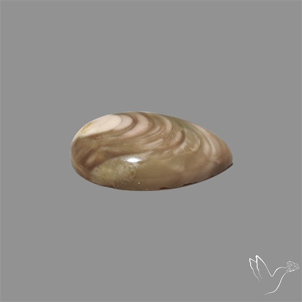 Imperial Jasper Cabochon