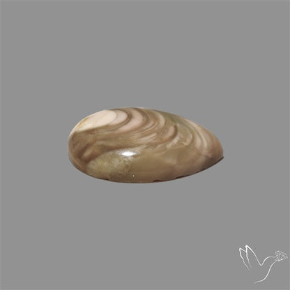 Imperial Jasper Cabochon