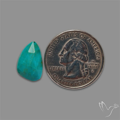 Rose Cut Kingman Turquoise