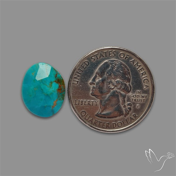 Rose Cut Kingman Turquoise