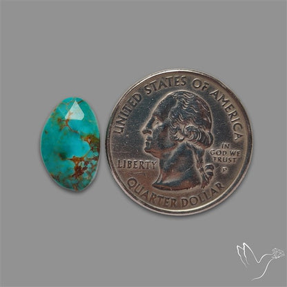 Rose Cut Kingman Turquoise