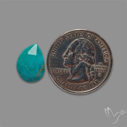 Rose Cut Kingman Turquoise